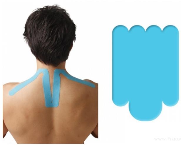 Taśmy kinezjologiczne (Tapy,Tejpy) NITTO DENKO K-Active Tape PreCut Kręgosłup Szyjny