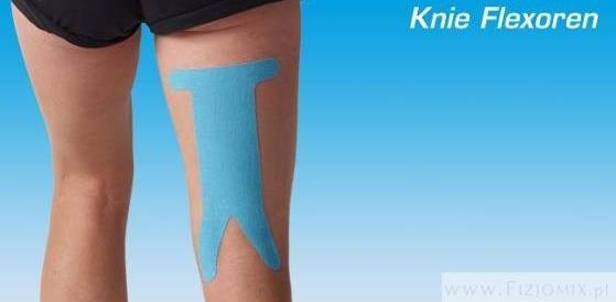 Taśmy kinezjologiczne (Tapy,Tejpy) NITTO DENKO K-Active Tape PreCut Mięsień Kulszowo-Goleniowy