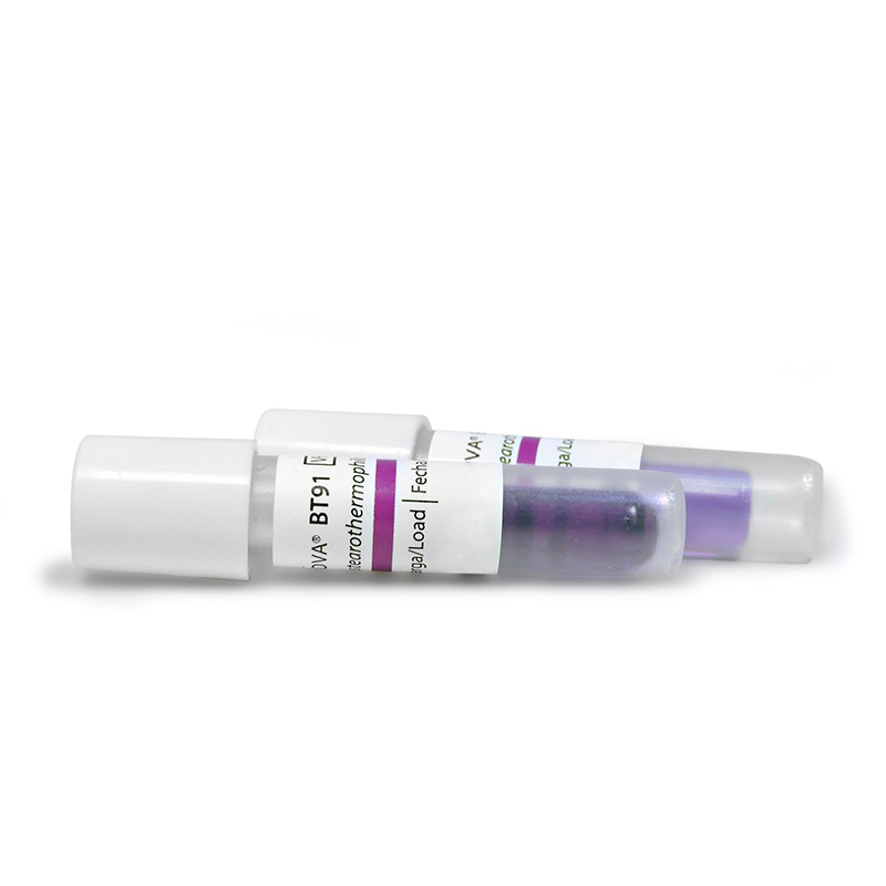 Testy biologiczne do sterylizacji nadtlenkiem wodoru (plazma) Terragene BT91