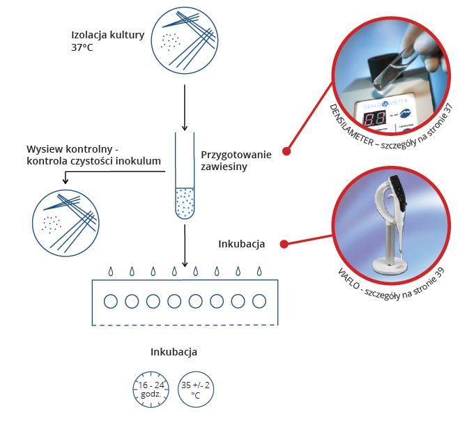 Testy do identyfikacji drobnoustrojów i lekowrażliwości ERBA Mikrolatest MIC