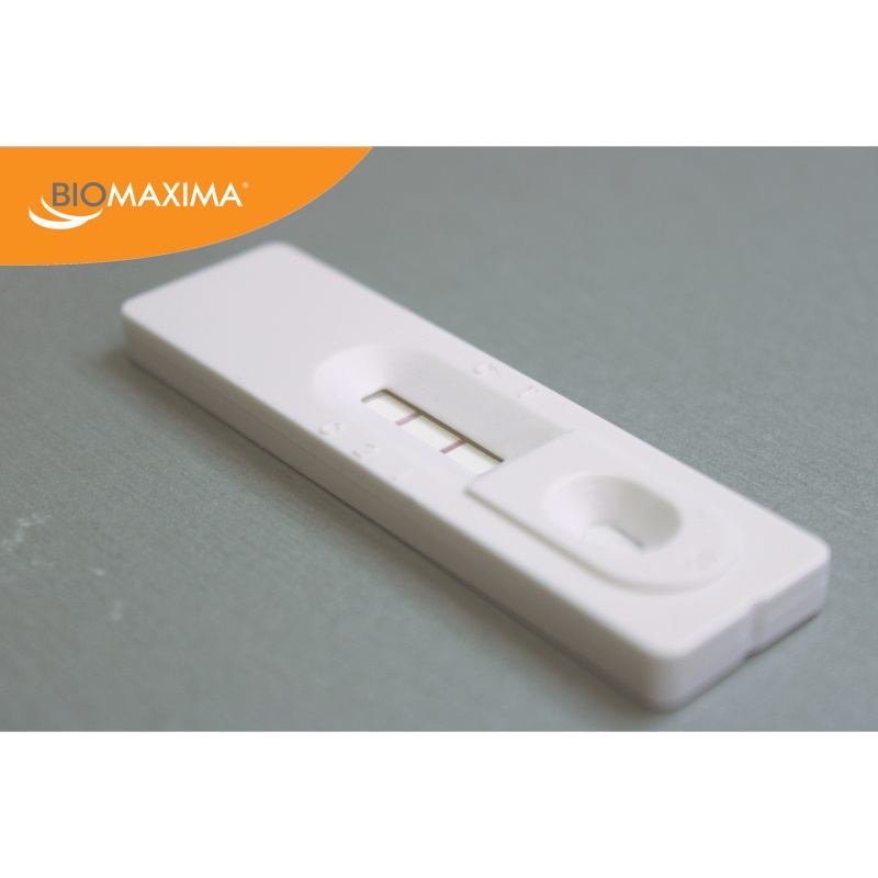Testy do wykrywania przeciwciał koronawirusa SARS-CoV-2 COVID-19 BIOMAXIMA SZYBKIE TESTY DO WYKRYWANIA PRZECIWCIAŁ IgG IgM
