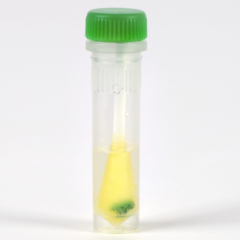 Testy skuteczności mycia w myjniach – dezynfektorach steriCLIN HemoCheck-S