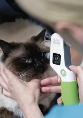 Tonometry weterynaryjne Icare TonoVet Plus