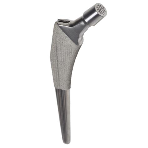 Trzpienie endoprotez stawu biodrowego PERMEDICA ORTOPAEDICS SL SelfLocking - bezcementowy