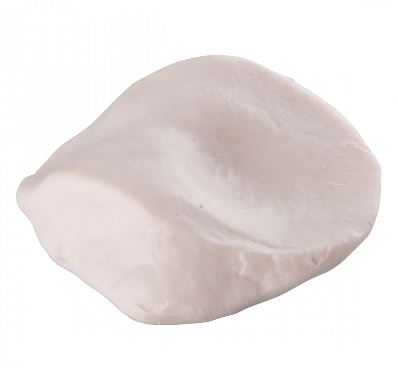 Układ kostny 3B Scientific A35/2