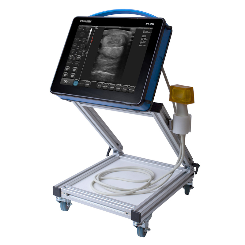 Ultrasonografy wielonarządowe weterynaryjne - USG DRAMIŃSKI BLUE vet