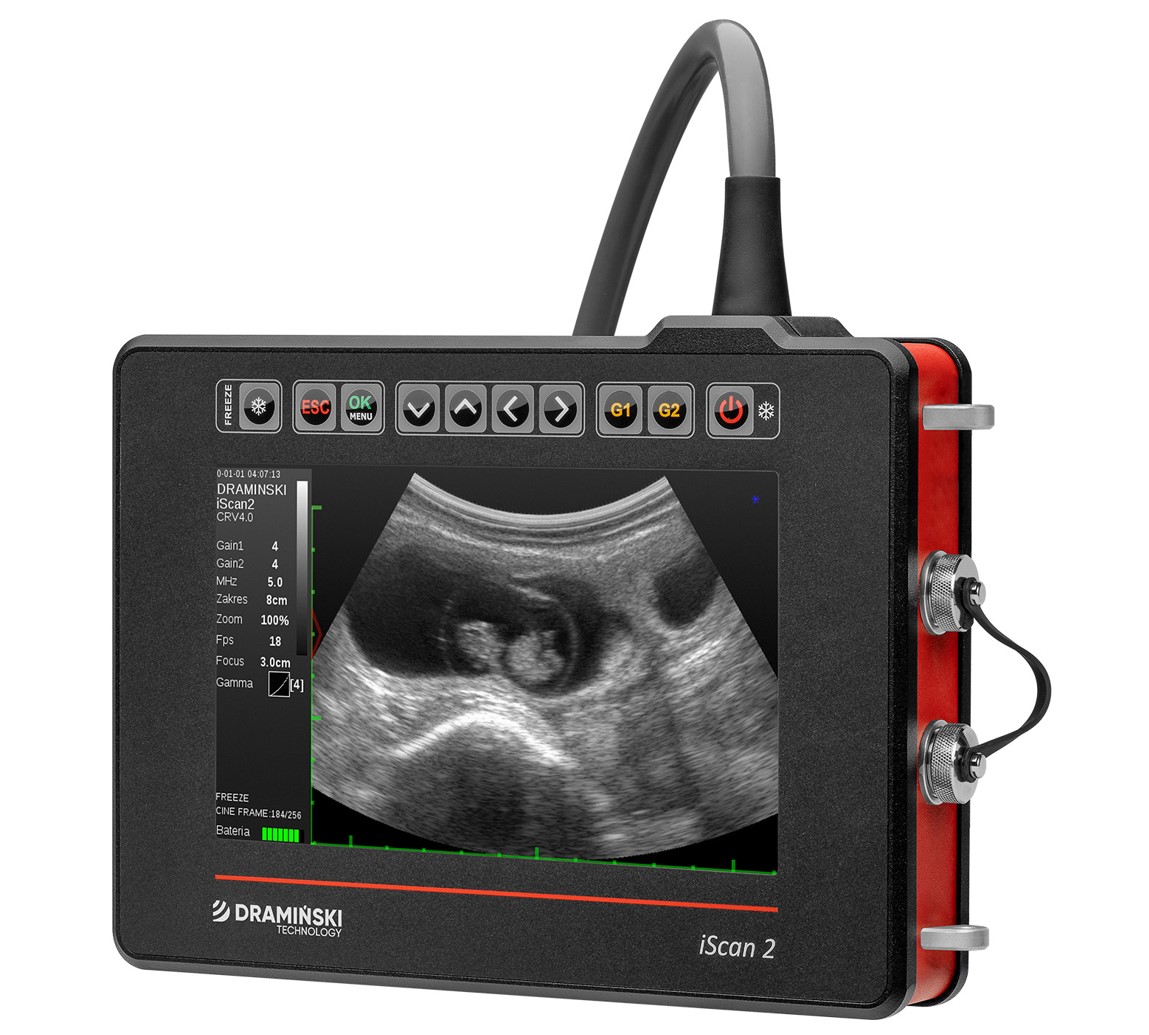 Ultrasonografy wielonarządowe weterynaryjne - USG DRAMIŃSKI iScan 2