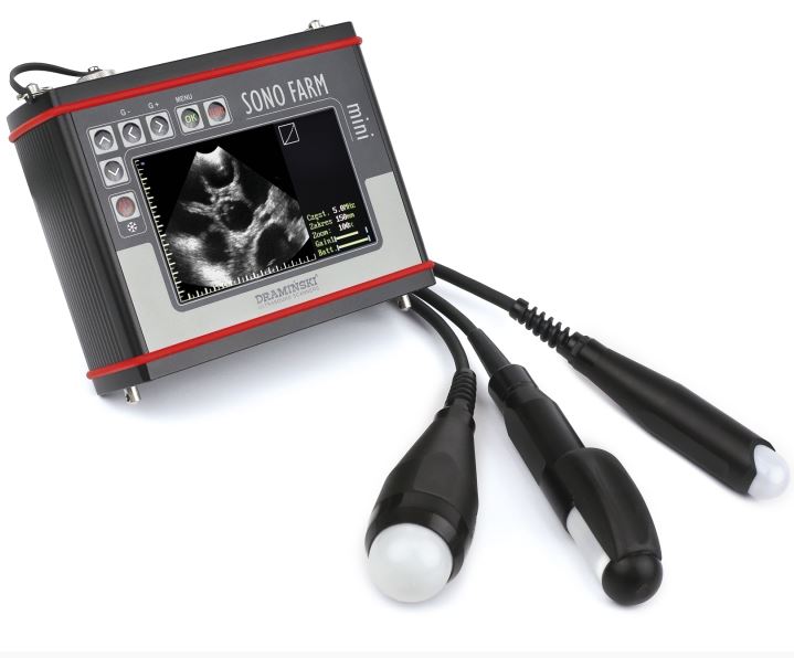 Ultrasonografy wielonarządowe weterynaryjne - USG DRAMIŃSKI SonoFarm mini