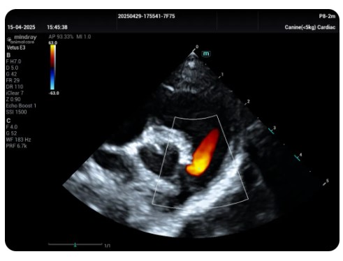 Ultrasonografy wielonarządowe weterynaryjne - USG MINDRAY Vetus E3