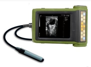 Ultrasonografy wielonarządowe weterynaryjne - USG ReproScan RKU 10