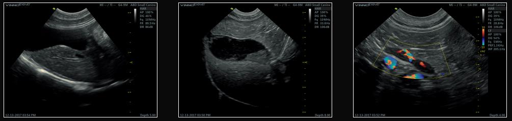 Ultrasonografy wielonarządowe weterynaryjne - USG Vinno E10 VET