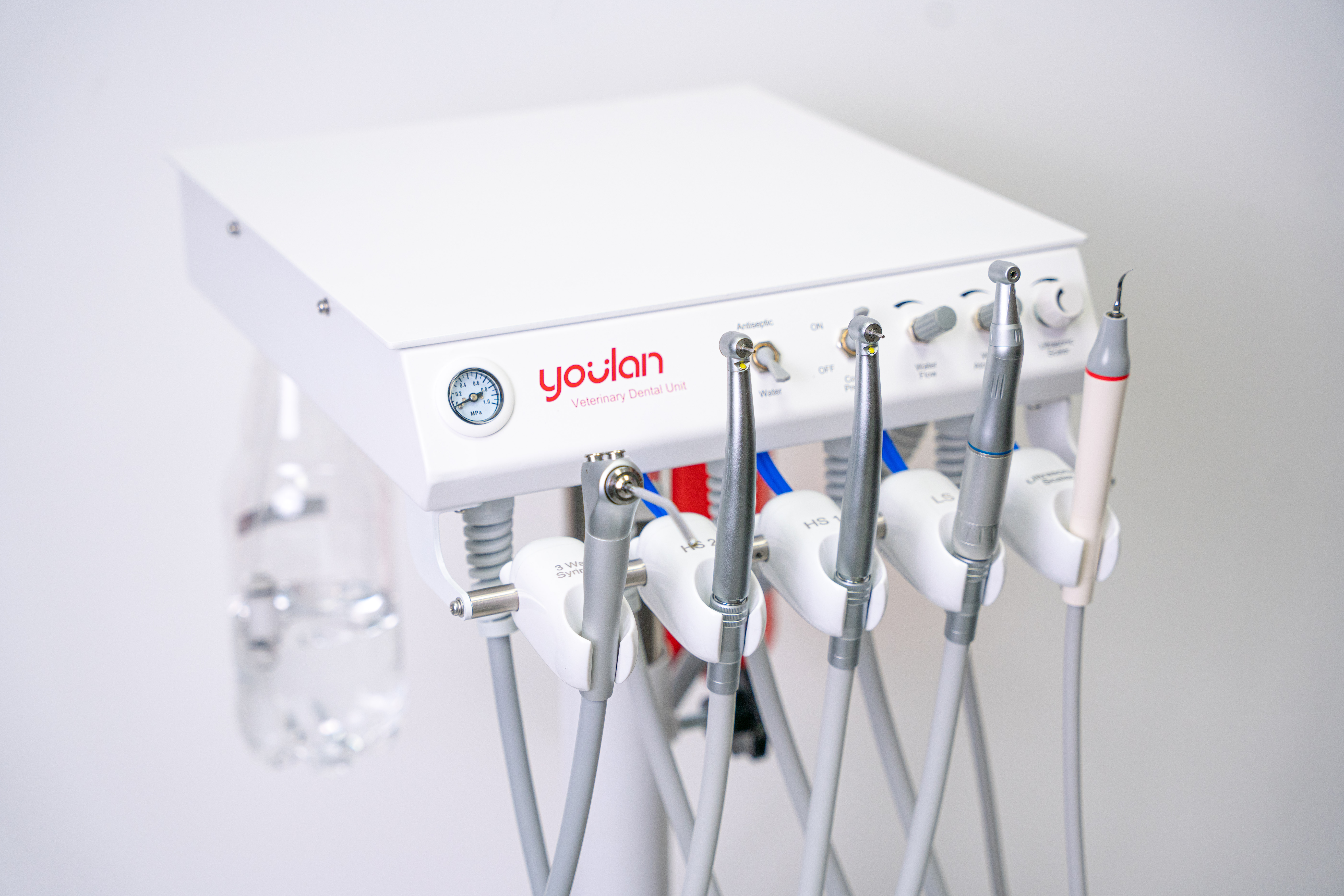 Unity stomatologiczne weterynaryjne Youlan ProDx5