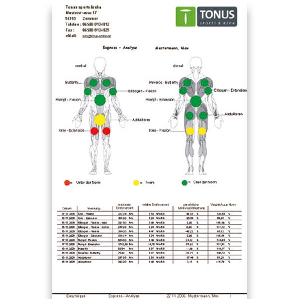 Urządzenia do pomiaru siły mięśniowej i wytrzymałości Tonus EasyTorque - Mobilny
