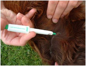 Urządzenia do usuwania kleszczy Innotech Sweden Trix lasso