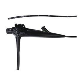 Videoendoskopy weterynaryjne Eickemeyer EickView 300 HD