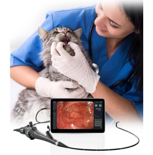 Videoendoskopy weterynaryjne HugeMed VL3S-V