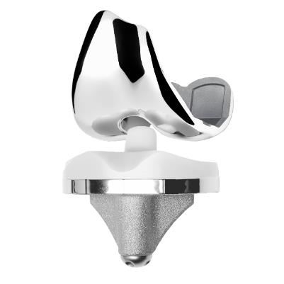 Wkładki endoprotez stawu kolanowego PERMEDICA ORTHOPAEDICS Prime Flex PS