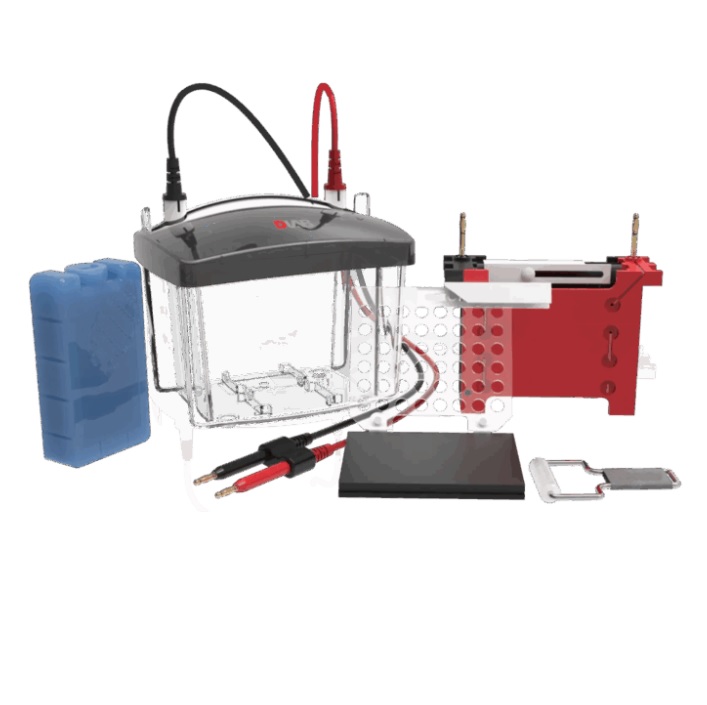 Zbiorniki do elektroforezy DLAB Scientific DL-ZY03