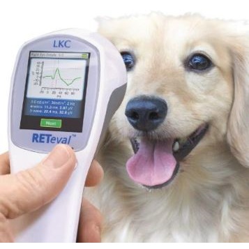 Retinografy weterynaryjne