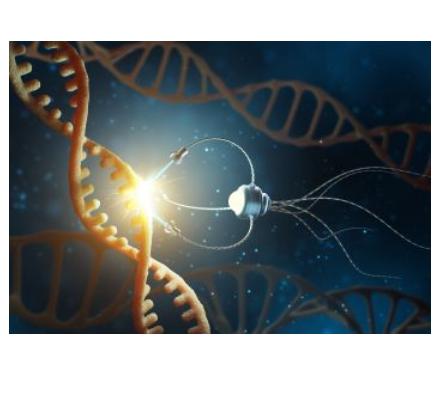 Mikroroboty w obiegu krwi rewolucjonizują medycynę