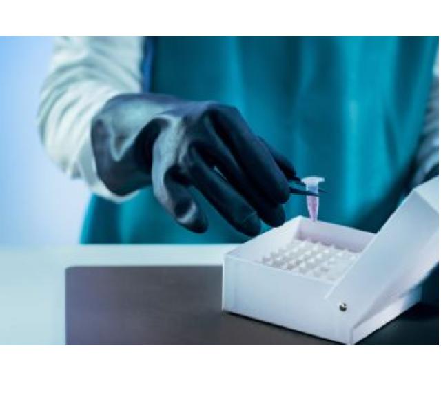 Rusza pierwsza edycja LS Hard Skills